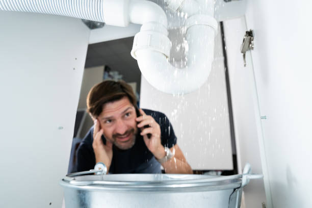 Best Clogged Drain Plumber  in Mount Vernon, AL